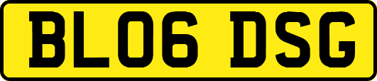 BL06DSG