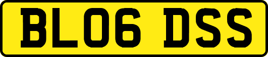 BL06DSS