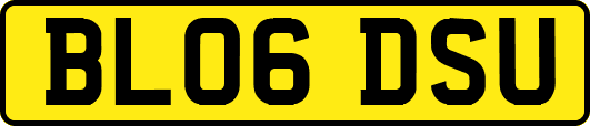 BL06DSU