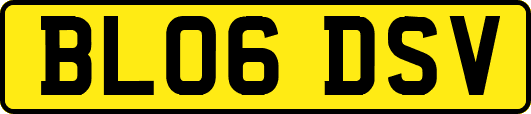 BL06DSV
