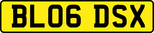 BL06DSX