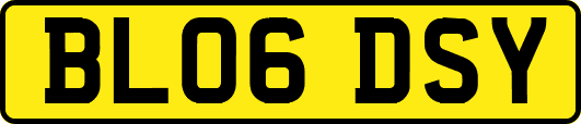 BL06DSY