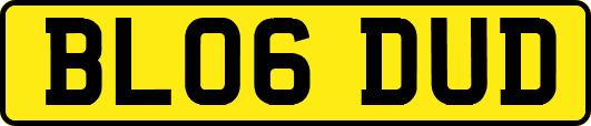 BL06DUD
