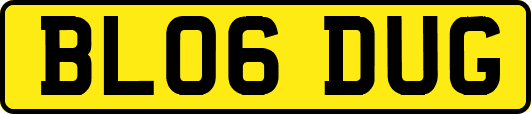 BL06DUG