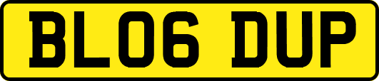 BL06DUP