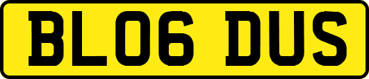 BL06DUS
