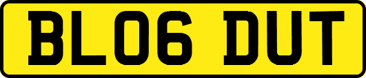 BL06DUT