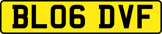 BL06DVF