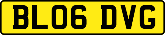 BL06DVG