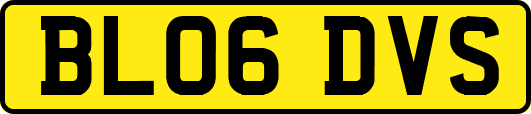 BL06DVS