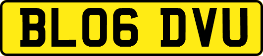 BL06DVU