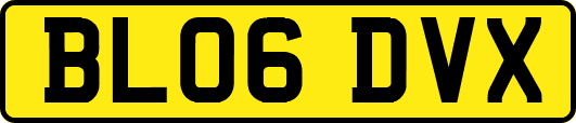 BL06DVX