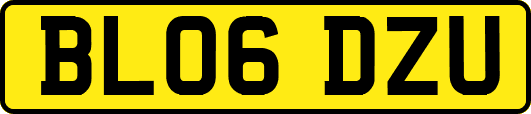 BL06DZU