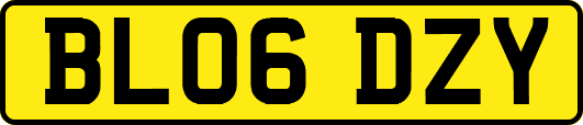 BL06DZY