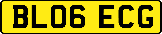BL06ECG