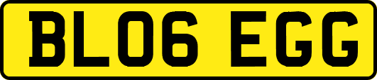 BL06EGG