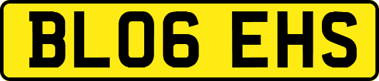 BL06EHS