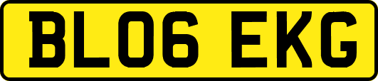 BL06EKG