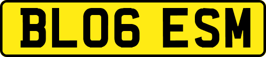 BL06ESM