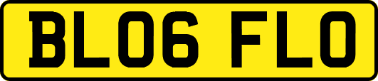BL06FLO