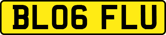 BL06FLU