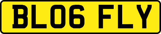 BL06FLY