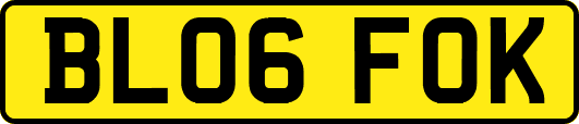 BL06FOK