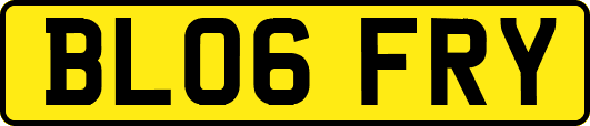 BL06FRY