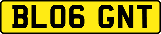 BL06GNT