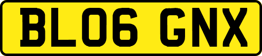 BL06GNX