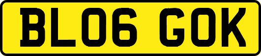 BL06GOK
