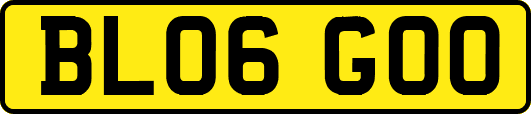 BL06GOO