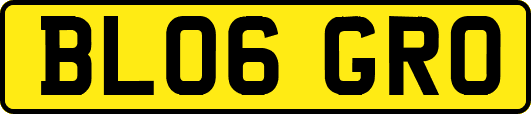 BL06GRO