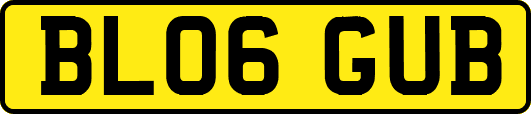 BL06GUB