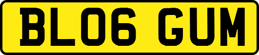 BL06GUM
