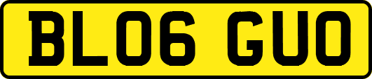 BL06GUO
