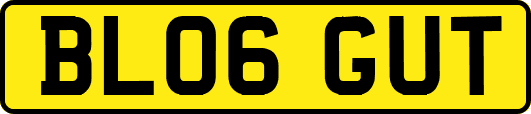 BL06GUT