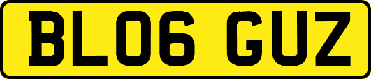 BL06GUZ