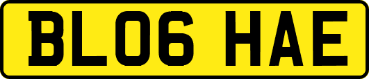 BL06HAE