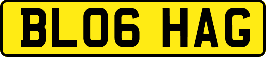 BL06HAG