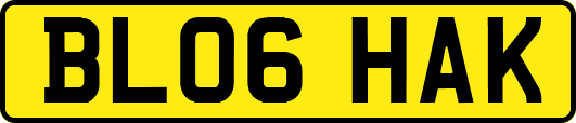 BL06HAK