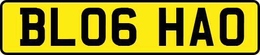 BL06HAO
