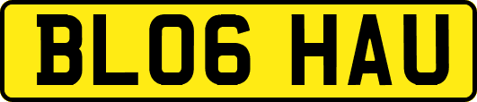 BL06HAU