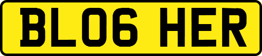 BL06HER