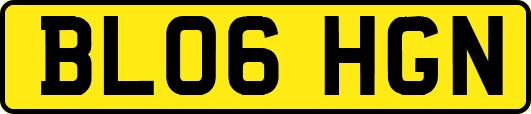 BL06HGN