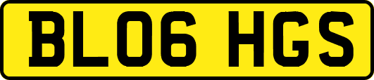 BL06HGS
