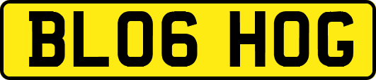 BL06HOG