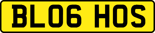 BL06HOS