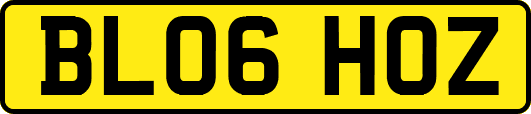 BL06HOZ