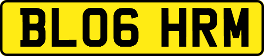 BL06HRM